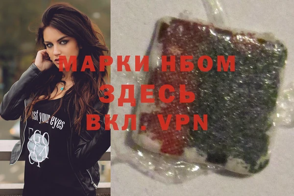 дмт Аркадак